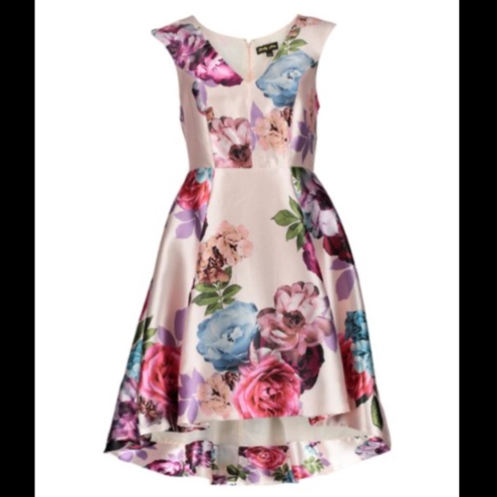 Shelby Nites Pale Pink Floral High Low Dress